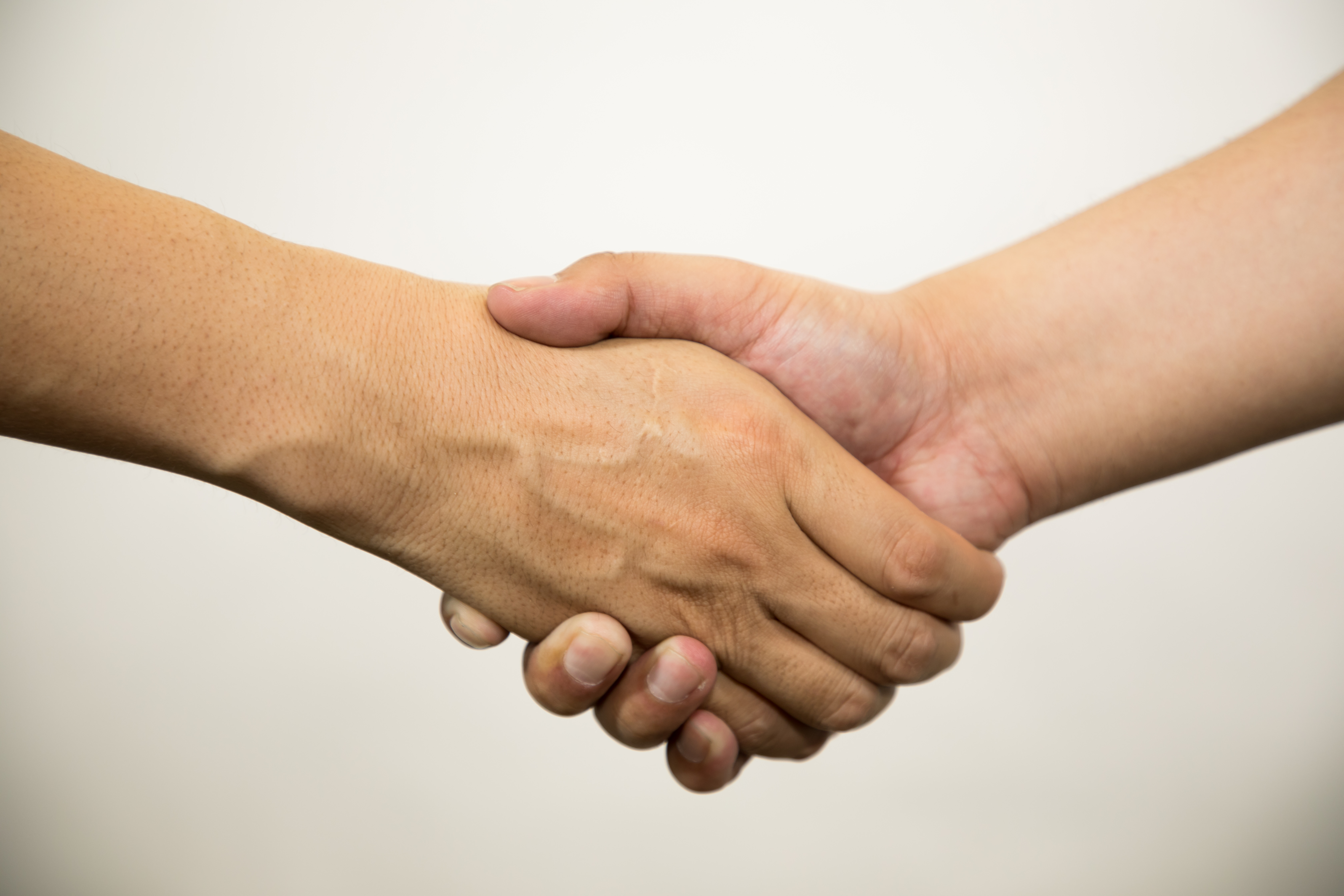 握手をして招待する