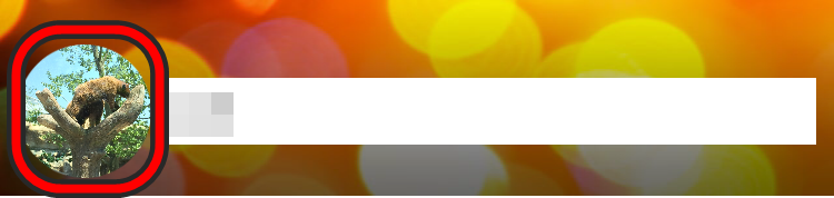 メルカリの写真を変更2