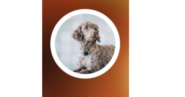 メルカリのアイコンのおすすめ23