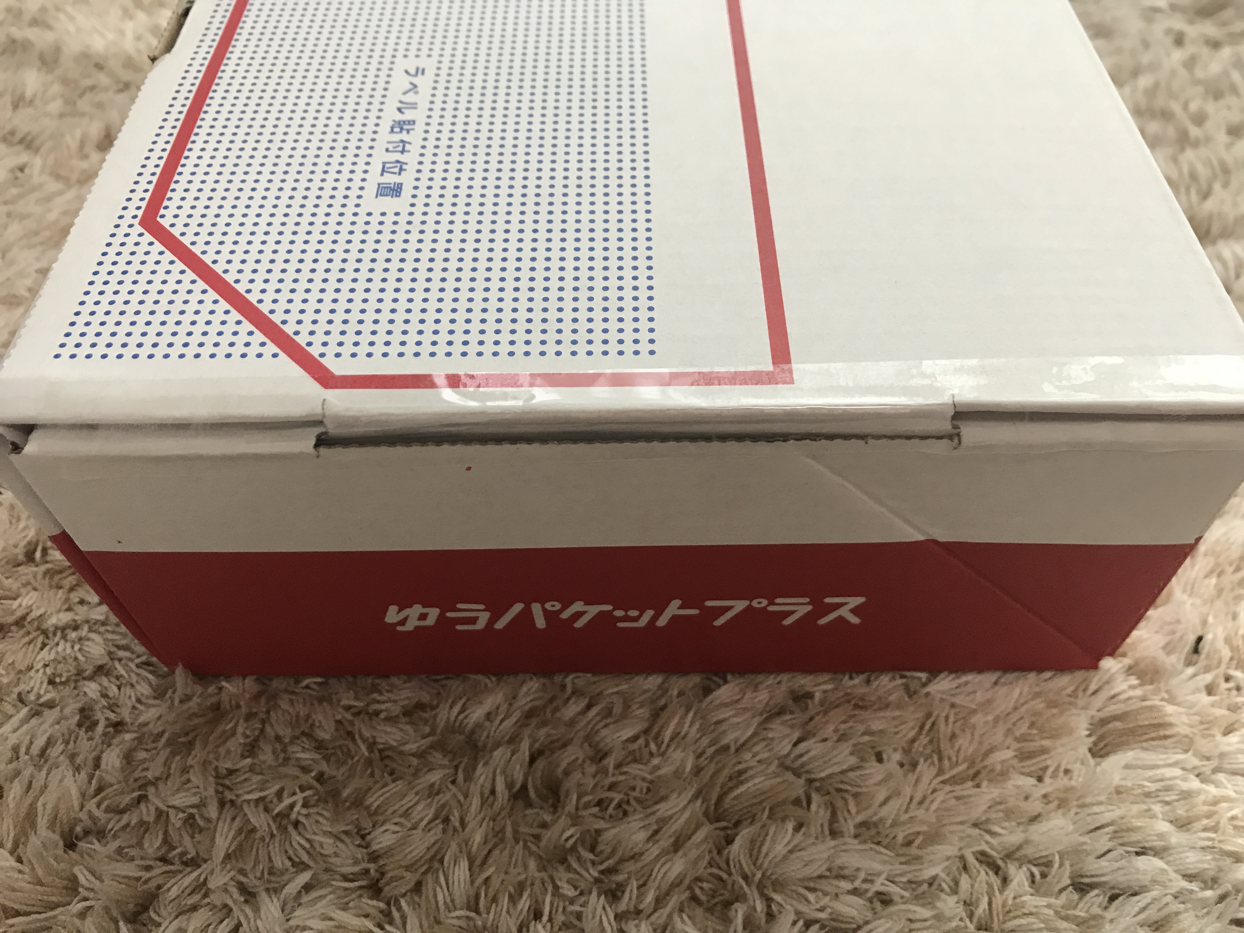 ゆうパケットプラス19