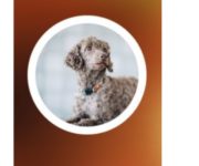 メルカリのアイコンでおすすめは？変更する時の3つの注意点も